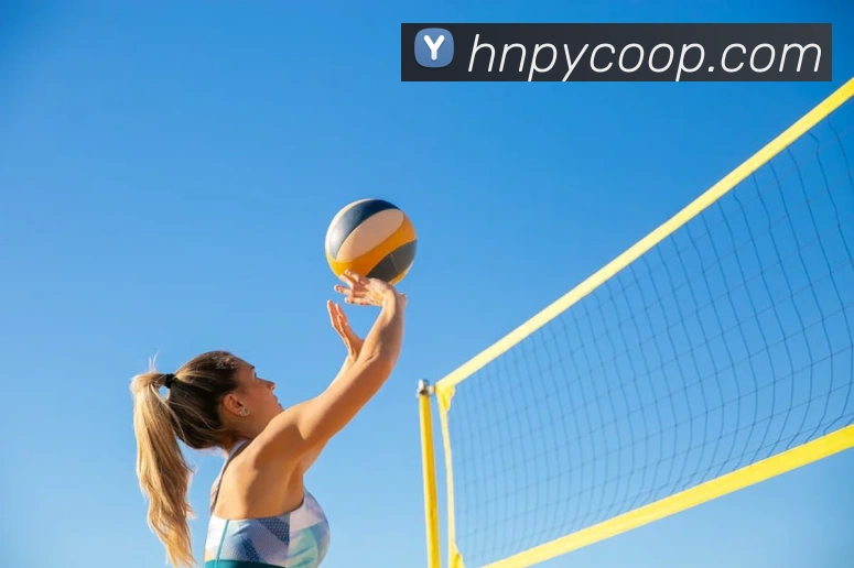 世界杯官网登录app全站App